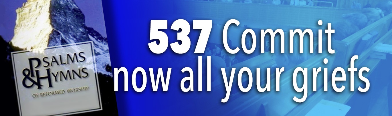 537