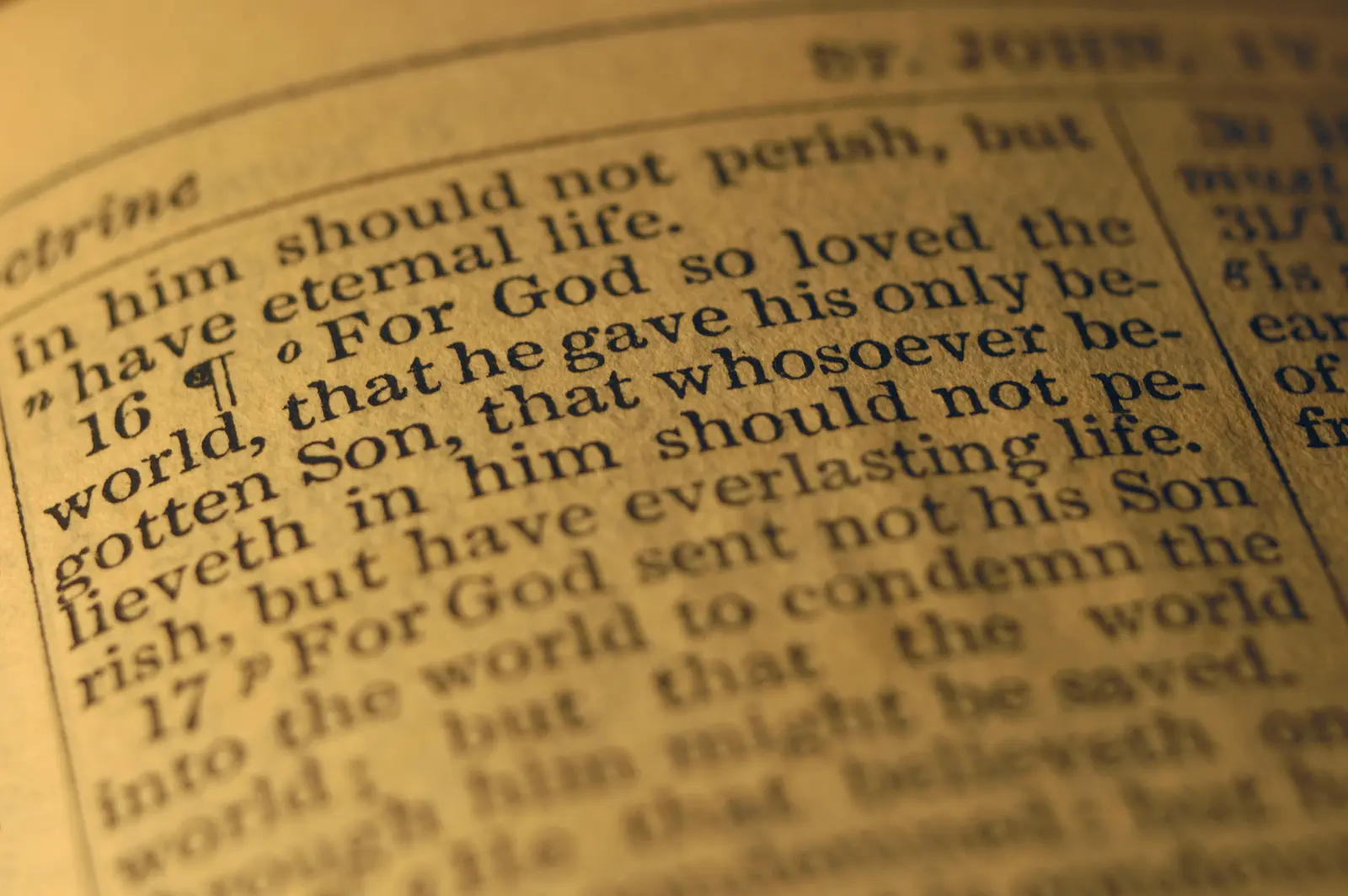 Close-up of a Bible page showing John 3:16 in bold text.