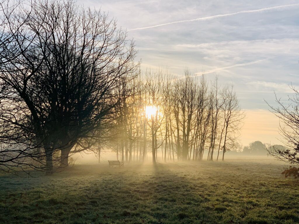 Misty sunrise over a grassy field with bare trees and a bench.